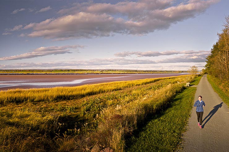 Cobequid Trail