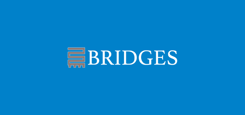 Bridges Institute