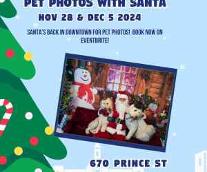 Photo with Santa 14 Page Shorline (1080 x 1350 px) (3)